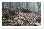 Durch Mineralienplünderer zerstörte mittelalterliche Abraumhalde im Herrenwald Münstertal